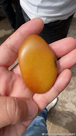 新疆和田玉籽料原石 79.5克 独籽无修型 真皮真色 金包银的料子 皮子
