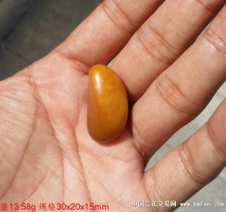 新疆和田玉顶级玩料 一级板栗黄 黄玉籽料欣赏